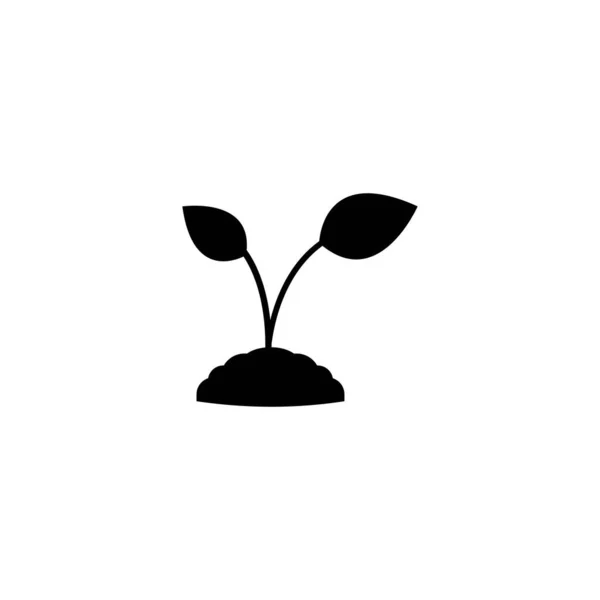 Рослина Значок Векторний Дизайн Ілюстрація Фон — стоковий вектор
