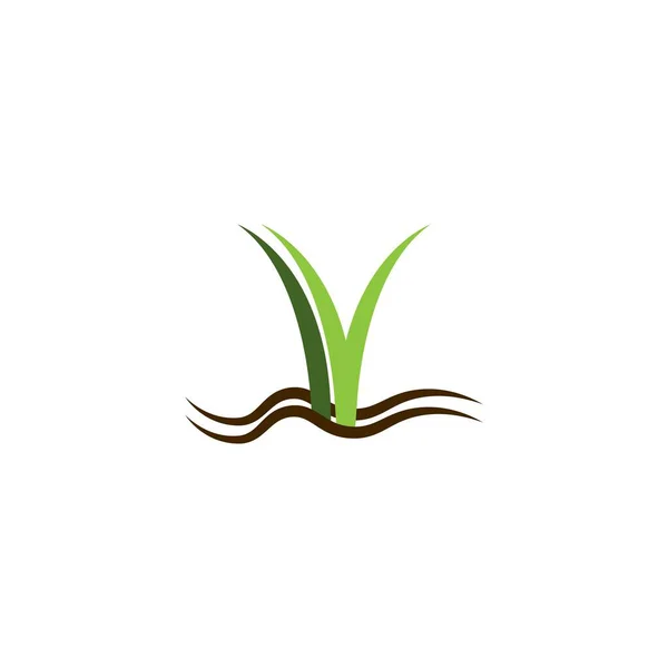Naturligt Gräs Illustration Logotyp Vektor Design Mall — Stock vektor