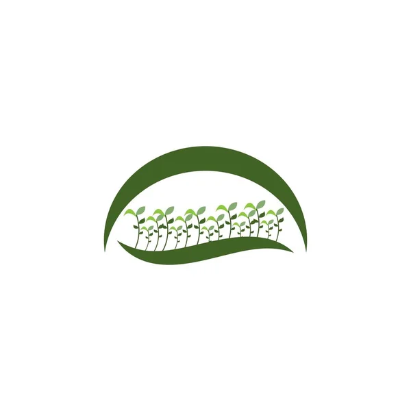 Natural Grass Illustratie Logo Vector Ontwerp Template — Stockvector