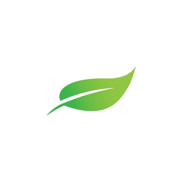 Blatt Logo Vektor Schablone Design — Stockvektor