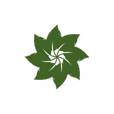 Yaprak logosu vektör şablonu tasarım çizimi