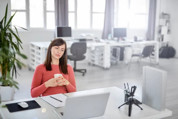 Ocupada encantadora morena vestida casual bebiendo café y mirando latop. Interior moderno de oficina . — Foto de Stock