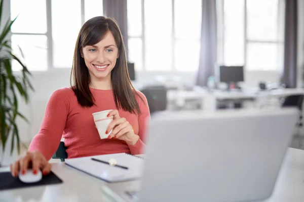 Busy charming brunette dressed casual drinking coffee and looking at latop. Modern office interior. — Stock Photo, Image