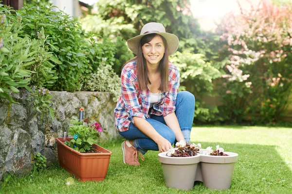 Full length of gorgeous Caucasian brunette crouching and potting flowers in her backyard. — Stock Photo, Image