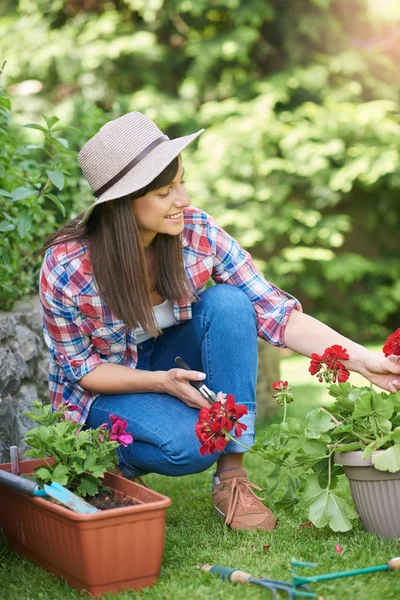 Linda morena caucásica con sombrero en la cabeza y en ropa de trabajo crouchig y flores de poda mientras se agacha en el patio trasero . — Foto de Stock