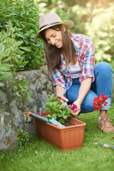 Morena branca bonito com chapéu na cabeça e em roupas de trabalho agachar e podar flores enquanto se agacha no quintal . — Fotografia de Stock