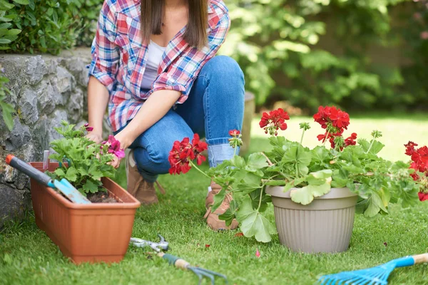 Mulher branca em roupas de trabalho plantando flores em seu quintal . — Fotografia de Stock