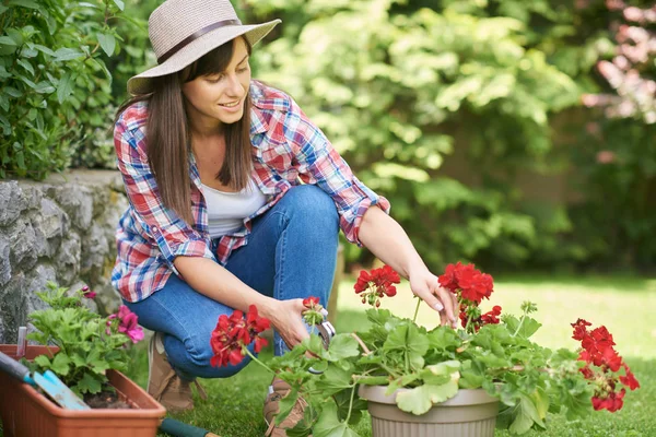 Morena branca bonito com chapéu na cabeça e em roupas de trabalho agachar e podar flores enquanto se agacha no quintal . — Fotografia de Stock
