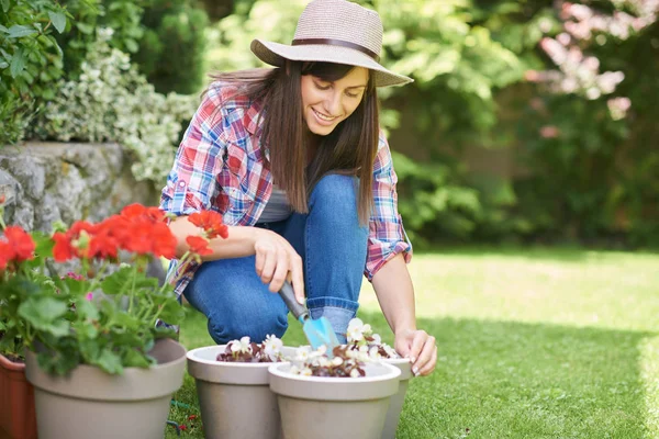 Linda morena caucasiana em roupas de trabalho e com chapéu na cabeça agachado e plantando begônia branca em seu quintal . — Fotografia de Stock