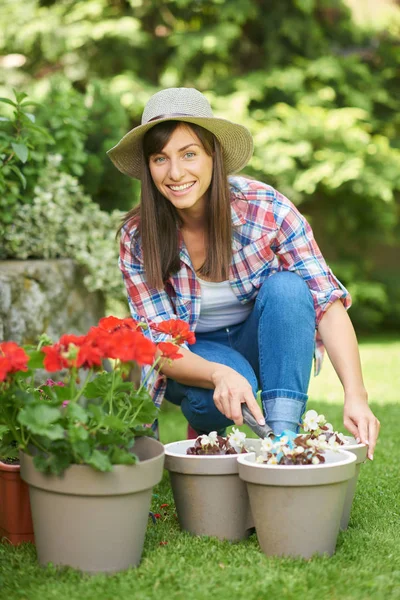 Linda morena caucasiana em roupas de trabalho e com chapéu na cabeça agachado e plantando begônia branca em seu quintal . — Fotografia de Stock