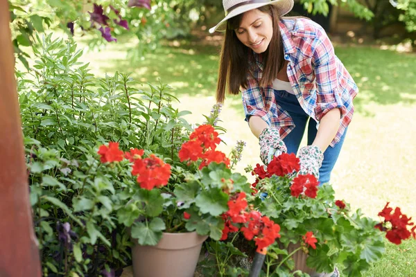 Linda morena branca sorridente em roupas de trabalho e com chapéu podando flores em seu quintal . — Fotografia de Stock