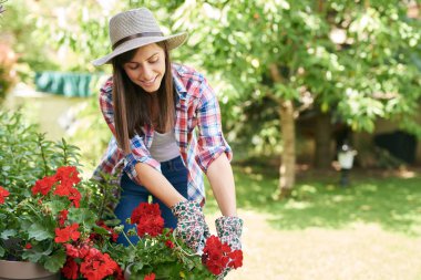 Güzel gülümseyen Kafkas esmer çalışma giysileri ve şapka ile çiçek onun arka bahçesinde budama ile.