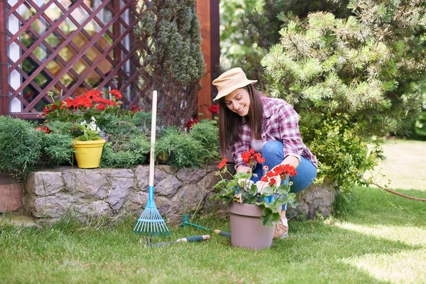 GOrgeous morena caucasiana vestida de desgaste do trabalho e com chapéu e luvas de plantio de pelargonium em seu quintal . — Fotografia de Stock