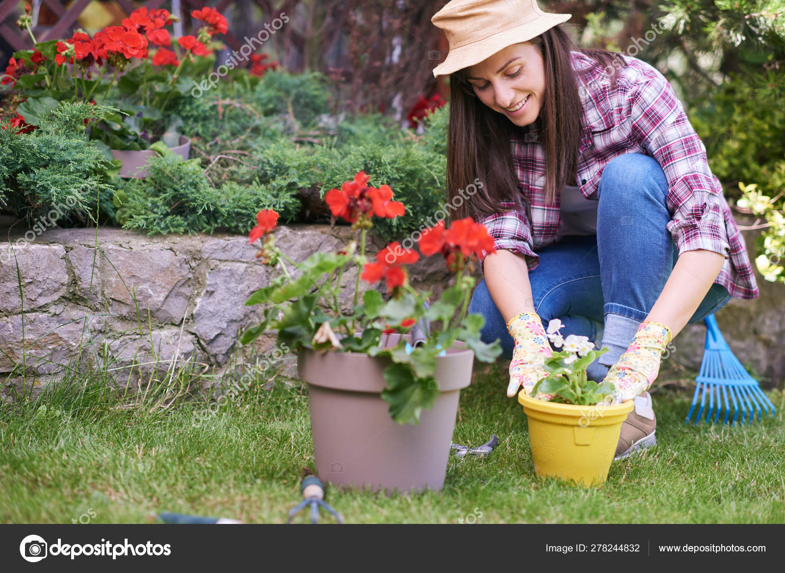 Caucasian female gardener in working clothes and with gardening gloves  planting begonia while crouching. Backyard exterior. Stock Photo by  ©nesharm 278244832