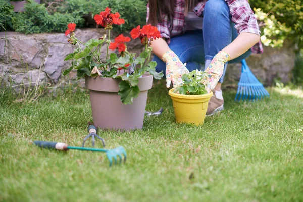 Gardener feminino caucasiano em roupas de trabalho e com luvas de jardinagem plantando begônia enquanto se agacha. Exterior do quintal . — Fotografia de Stock