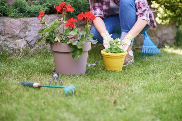 Gardener feminino caucasiano em roupas de trabalho e com luvas de jardinagem plantando begônia enquanto se agacha. Exterior do quintal . — Fotografia de Stock