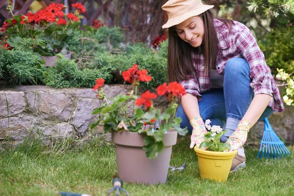 Gardener feminino caucasiano em roupas de trabalho e com luvas de jardinagem plantando begônia enquanto se agacha. Exterior do quintal . — Fotografia de Stock