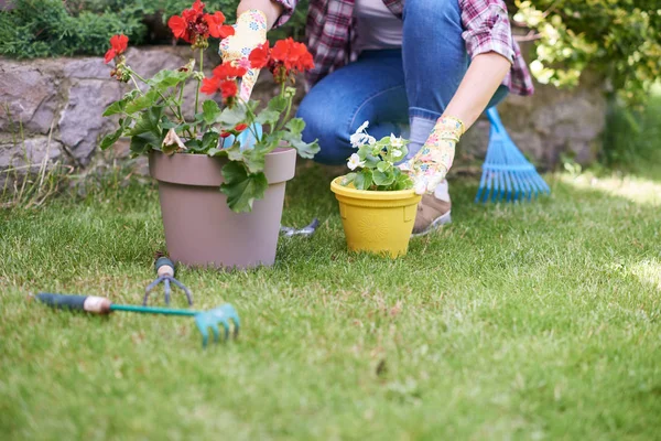 Gardener feminino caucasiano em roupas de trabalho e com luvas de jardinagem plantando begônia enquanto se agacha. Exterior do quintal . — Fotografia de Stock