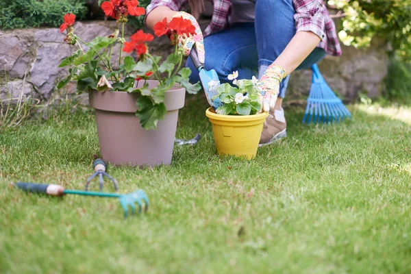 Gardener feminino caucasiano em roupas de trabalho e com luvas de jardinagem plantando begônia enquanto se agacha. Exterior do quintal . — Fotografia de Stock