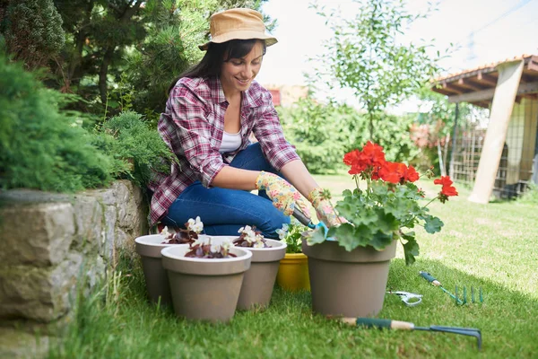 Gorgeous Caucasian brunette dressed in work wear and with hat and gloves planting pelargonium in her backyard. — Stock Photo, Image