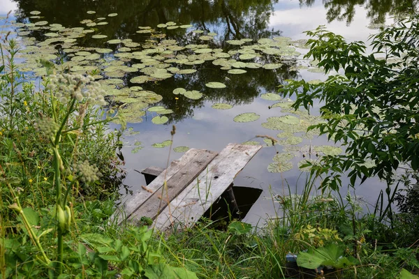 Gele Waterlelie Cognac Fles Nphar Ltea Waterplant Houten Brug Rivier — Stockfoto