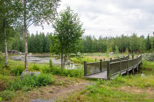 Wooden Bridge River Summer Park — Stock Photo, Image