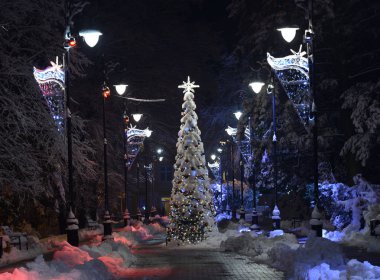 Noel ağacı ışıkları ve kar park sokakta geceleri sokak lambaları ile kaplı