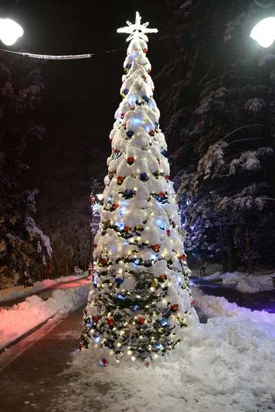 Christmas Tree Lampor Och Täckt Snö Park Gränd Med Gatlyktor Stockfoto