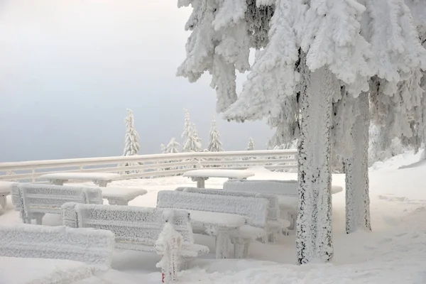 Sneeuw Bedekte Tafels Banken Onder Sparren Bergen Winter — Stockfoto