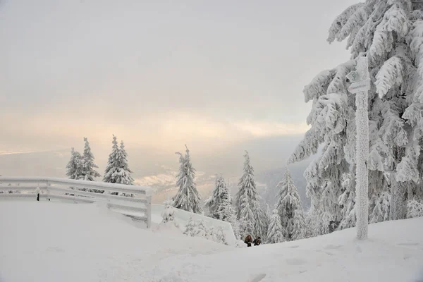 Sweradow Zdroj Resort Poland December 2018 View Sweradow Zdroj Snowstorm — Stock Photo, Image