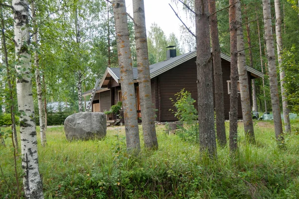 Maison Bois Parmi Les Arbres Été — Photo