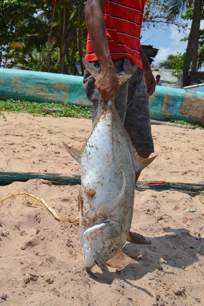 Fishman. Fishman with big fish. Man catch big fish on a seaside.