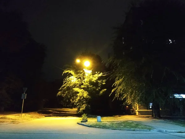 Ucraniano Dnipro Cruzamentos Noite Lâmpada Rua — Fotografia de Stock