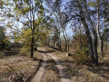 Ukraynalı. Dinyeper-Orel rezervi. Orel taşkın ovasının yakınındaki yol.