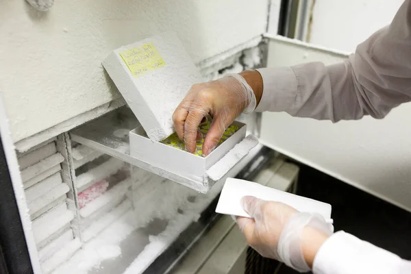 Laboratuvarda donmuş test tüplerini bilimsel olarak manipüle etmek.