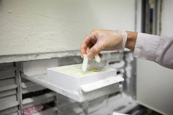 Laboratuvarda donmuş test tüplerini bilimsel olarak manipüle etmek.