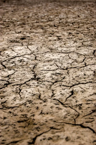 Scheuren Bodem Tijdens Droogte — Stockfoto