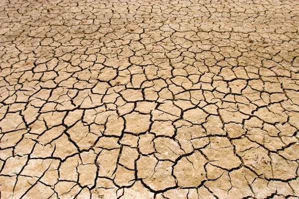 Scheuren Bodem Tijdens Droogte — Stockfoto