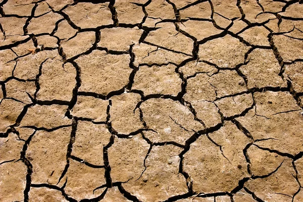 Scheuren Bodem Tijdens Droogte — Stockfoto