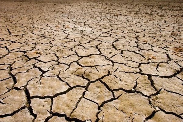 Scheuren Bodem Tijdens Droogte — Stockfoto