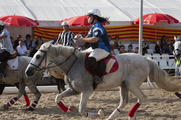 Cardadeu Βαρκελώνη 2007 Άλογο — Φωτογραφία Αρχείου