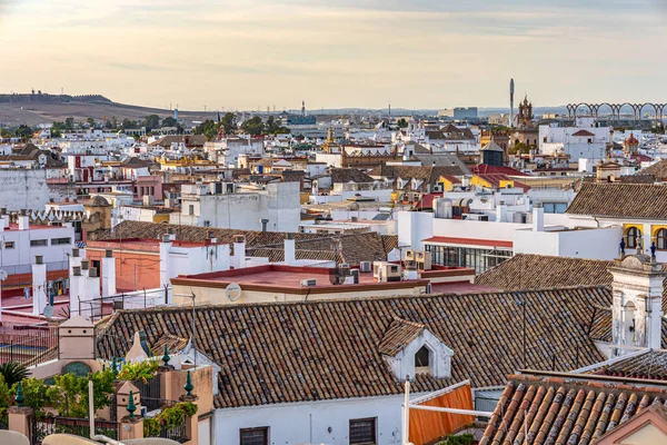 Σεβίλλη Ισπανία Οκτωβρίου 2019 Άποψη Από Την Μητρόπολη Parasol Σχετικά — Φωτογραφία Αρχείου