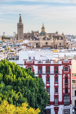 Sevilla, İspanya. 15 Ekim 2019. Metropol Şemsiyesi 'nden Panten de los Sevillanos Illustration' un Kubbesi 'nin ve Divino Salvador Kilisesi' nin manzarası.