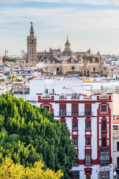 Sevilla Španělsko Října2019 Pohled Metropol Slunečník Kopuli Budovy Panten Los — Stock fotografie