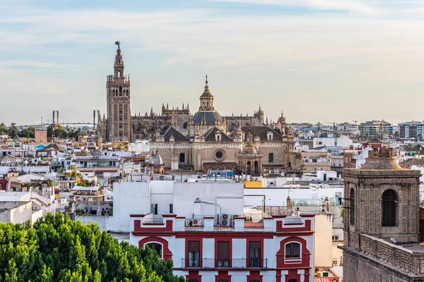 Sevilla, İspanya. 15 Ekim 2019. Metropol Şemsiyesi 'nden Panten de los Sevillanos Illustration' un Kubbesi 'nin ve Divino Salvador Kilisesi' nin manzarası.