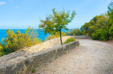 Gaeta, İtalya. Monte Orlando 'ya giden yoldan bak. Deniz, Akdeniz bitkisi.