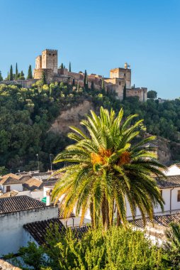 Granada, İspanya. 17 Ekim 2020. Gün batımında Alhambra 'nın binalarının ve kulelerinin altından ön planda palmiye ağacı olan manzarayı izle..