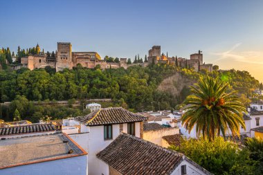Granada, İspanya. 17 Ekim 2020. Gün batımında Alhambra 'nın binalarının ve kulelerinin altından bir palmiye ağacı ve ön planda bazı ev çatıları olan manzarayı izle.. 