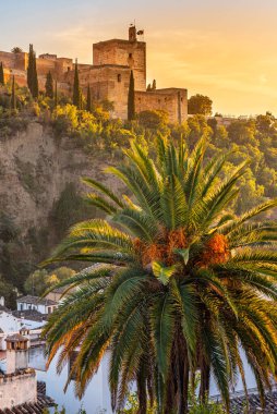 Granada, İspanya. 17 Ekim 2020. Gün batımında Alhambra 'nın binalarının ve kulelerinin altından ön planda palmiye ağacı olan manzarayı izleyin. Dikey çekim