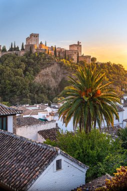 Granada, İspanya. 17 Ekim 2020. Gün batımında Alhambra 'nın binalarının ve kulelerinin altından bir palmiye ağacı ve ön planda bazı ev çatıları olan manzarayı izleyin. Dikey çekim.